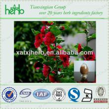 high purity Marshmallow Extract