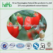 High Quality Organic Goji Berry Extract Polysaccharide 20%