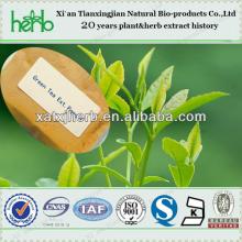 Raw materials/natural Green Tea Extract /Tea Polyphenol, Catechin, EGCG,quality products