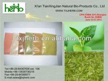 HOT-SELLING  Green   Tea   Leaf  Extract Powder