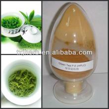  100 %  Organic   Green   Tea   Extract  Powder  green   tea  leaf  extract  with  tea  polyphenols 98%