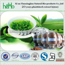 100% pure Green Tea Extract EGCG Powder 50%