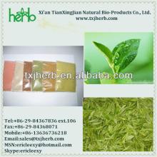 green tea extract powder capsules