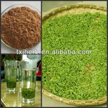 Green Tea Leaf Extract Decaffeinated Green Tea Extract Organic Green Tea Extract Powder