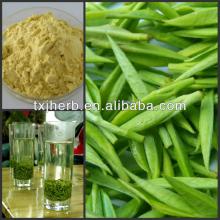 Top Quality Green Tea Leaf Extract Green Tea Extract Polyphenol 98% Organic Green Tea Extract Powder