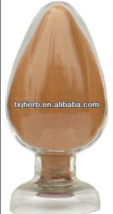 Top Quality Organic Green Tea Powder Green Tea Leaf Extract Green Tea Extract Powder