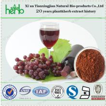 Natural Red Wine P.E. Powder with Red Wine Polyphenols 30% UV