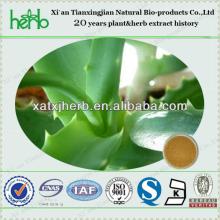 100% Natural Wholesale Emodin 20%/98% Aloe Vera Extract