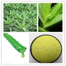 Natural Aloe Vera  Extract  98% Aloin HPLC  from  ISO,BV,KOSHER certificate Factory