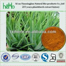 Wholesale Aloe Emodin 98% aloe-emodin