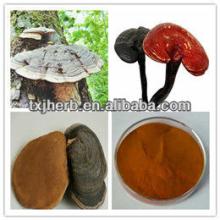 ISO Manufacture Supply Hight Quality Reishi Mushroom Extract Ganoderma lucidum polysaccharides 20% U