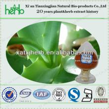 100% Natural Aloe Emodin From BV, QS, ISO, Kosher Manufacturer