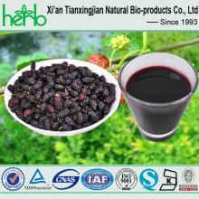 Mulberry Juice Extract Powder