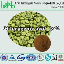 Natural Green Coffee Bean Extract with Chlorogenic acid 50%