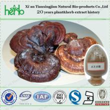 Gynostemma Extract Powder Gypenoside Gynostemma saponins 98% HPLC