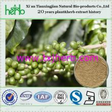 green coffee bean extract/Chlorogenic acids 50%/green coffee extract