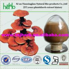ISO BV certificated 20% polysaccharides 6% reishi triterpene red ganoderma extract