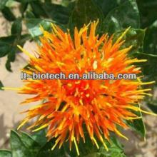 100% Natural Saffron Extract