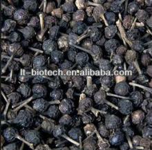 100% Pure Black Pepper Oil Essential Oil