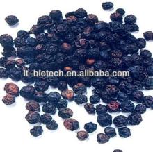 100% Natural Black Pepper Extract Powder