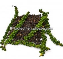 Top Quality Black Pepper Powder Extract of Piperine from China Manufacturer