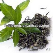 High quality 100% Natural Green Tea Extraction Polyphenols Powder