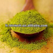 Green Tea Extract Powder /Polyphenols/ L-theanine