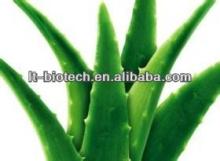 Hot Sale  Aloe   Vera   Juice  Extract/40%- 98% Barbaloin