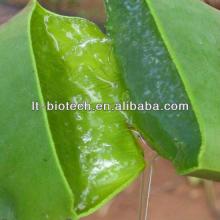 Natural Aloe Vera Juice Extract