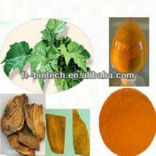 High Quality Hot Sale Pure Natural Emodin 90% 98%