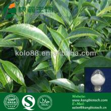 Hovenia p.e. dihydromyricetin, ampelopsin vine tea extract, dihydromyricetin powder