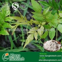  Vine   tea   Extract  Powder  Dihydromyrice tin(HPLC)