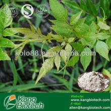 Vine tea Extract Powder Dihydromyricetin 90% 95% 98% CAS NO. 27200-12-0