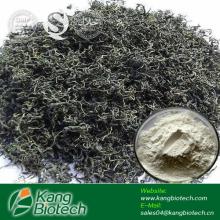 High quality Dihydromyricetin Powder 98% Vine Tea Extract