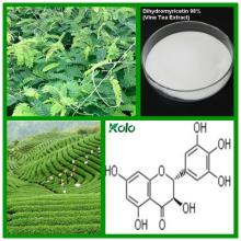 Top Quality Food Additive Vine Tea Extract Dihydromyricetin 98% Powder in White Color Hplc