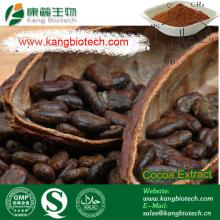 Bulk Cocoa Bean Extract 6%~20% Theobromine 83-67-0