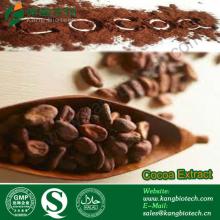 Cocoa Seeds Extract for Weight Loss