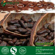 6%~20% theobromine Cocoa Seed Extract,bulk cocoa bean extract