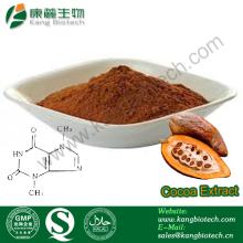 100% best quality  cocoa   extract ,  Theobroma  cocao  extract 
