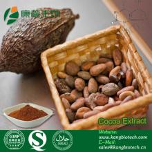 Low Price Cocoa Powder Extract Bulk Theobromine powder