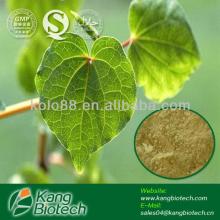 GMP kava extract  kavalactones  powder