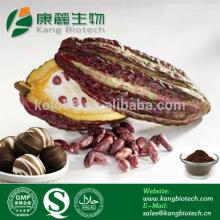 Slimming powder cocoa powder, cocoa seed extract, cocoa extract