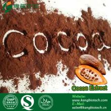 High Quality Cocoa Bean Extract Cocoa Powder