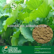Natural Lotus Leaf Extract for  slimming  tea