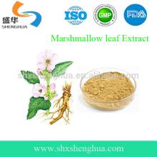 GMP Manufacturer Althaea officinalis Hot Selling
