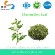 GMP Manufacturer Herbal Cigarette Raw Materials