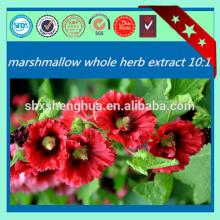 KOSHER common marshmallow died Leaf Herb