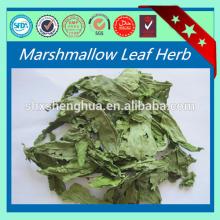 Raw Material 100% purity marshmallow leaf herb