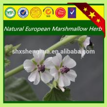 100% purity bulk marshmallow leaf Marshmallow Leaf Herb