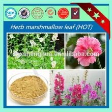 natural extract plant Marshmallow Herb Dried Marshmallow Leaf herb